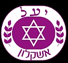 יד עזר לחולה